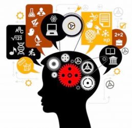 33 1 | نقش نیوز