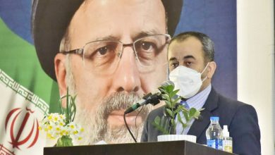 استاندار خراسان جنوبی :توزیع ۴۳۰ هزار اصله نهال در خراسان جنوبی آغاز شد 1 | نقش نیوز توزیع ۴۳۰ هزار اصله نهال در خراسان جنوبی آغاز شد