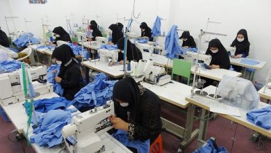 مدیرکل کمیته امداد امام خمینی(ره) خراسان جنوبی:۶ هزار فرصت شغلی برای مددجویان کمیته امداد ایجاد شد 3 | نقش نیوز ۶ هزار فرصت شغلی برای مددجویان کمیته امداد ایجاد شد