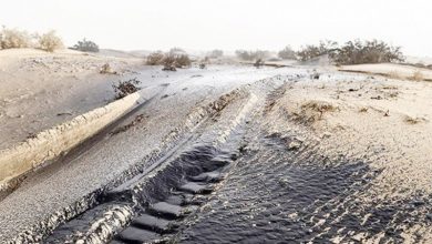 کاهش مالچ‌پاشی در کشور