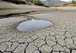 2 13 | نقش نیوز