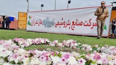 اجرای پروژه "پتروشیمی میانکاله" متوقف شد 5 | نقش نیوز اجرای پروژه "پتروشیمی میانکاله" متوقف شد