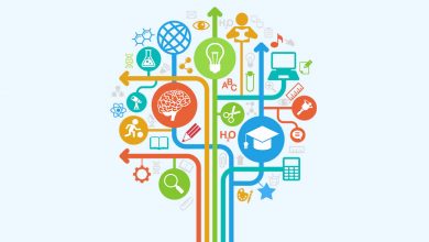 شرکت های دانش بنیان در یک نگاه  6 | نقش نیوز شرکت های دانش بنیان در یک نگاه