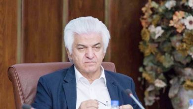 به جای خودرو ، خودروساز وارد کنید!