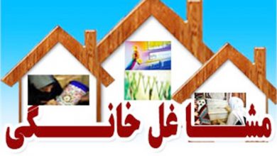 مشاغل خانگی  را جدی نمی‌گیرند  