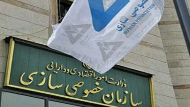 سهام دولت در ۳۰۰ شرکت واگذار می شود