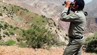 محیط بانان و خلاء نبود حمایت های قانونی 7 | نقش نیوز محیط بانان و خلاء نبود حمایت های قانونی