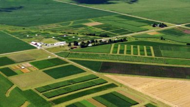 برخورد جدی با تغییر کاربری غیرمجاز اراضی کشاورزی 5 | نقش نیوز برخورد جدی با تغییر کاربری غیرمجاز اراضی کشاورزی