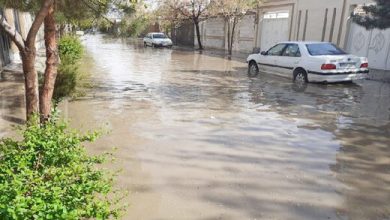 خسارت حدود ۱۰ هزار میلیاردی سیل به حوزه کشاورزی تاکنون