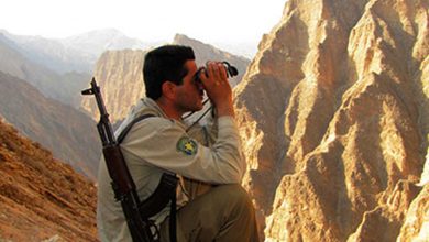 حفاظت از جان محیط بانان و محیط زیست در گرو اصلاح قانون حمل سلاح