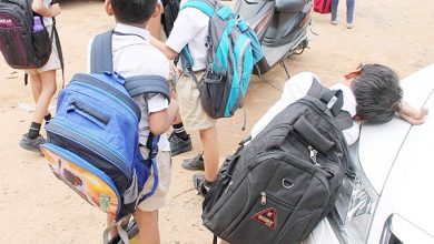 کیف های غیراستاندارد با اندازه های غیرمتعارف !