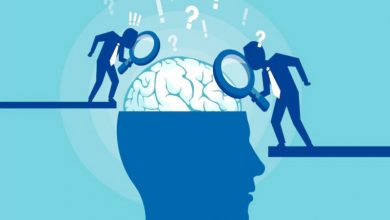 ماهیت فرهنگ بر رفتار مصرف کننده ها 4 | نقش نیوز ماهیت فرهنگ بر رفتار مصرف کننده ها