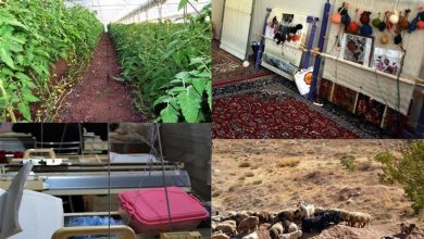 روستاها ؛ نمادی از توسعه ی کسب و کارهای نوپا 5 | نقش نیوز روستاها ؛ نمادی از توسعه ی کسب و کارهای نوپا