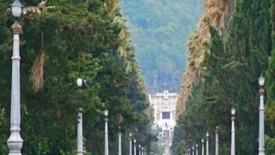 چرا باید بیشتر از یک بار به رامسر سفر کنیم؟ 11 | نقش نیوز چرا باید بیشتر از یک بار به رامسر سفر کنیم؟