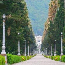 100 | نقش نیوز