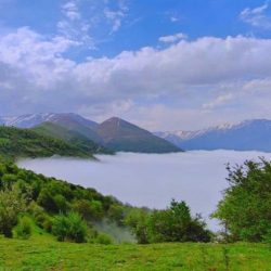 101 | نقش نیوز