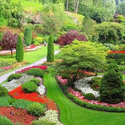 فضای سبز شهری و کارکردهای آن 2 | نقش نیوز 2233 | نقش نیوز