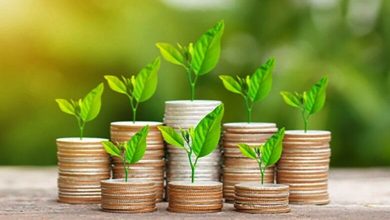 سرمایه گذاری خطر پذیر چیست و چگونه کار می کند ؟