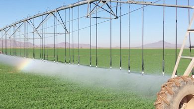 کشاورزی مدرن و مزایای آن 6 | نقش نیوز کشاورزی مدرن و مزایای آن