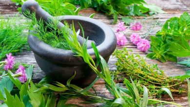 ارزآوری گیاهان دارویی بیشتر از نفت 7 | نقش نیوز ارزآوری گیاهان دارویی