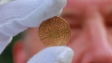 کشف سکههایی که با عجله پنهان شده بودند 4 | نقش نیوز کشف سکههایی که با عجله پنهان شده بودند