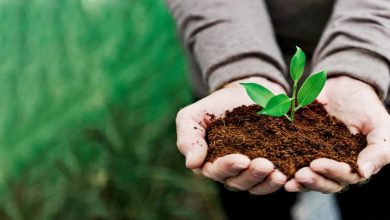 مشاغل سازگار با محیط زیست 1 | نقش نیوز مشاغل سازگار با محیط زیست