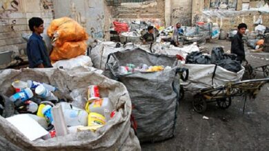 مافیای اقتصادی ، پشت مساله زبالهگردها 4 | نقش نیوز مافیای اقتصادی ، پشت مساله زبالهگردها