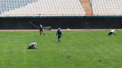 گلایه مربیان از وضعیت بد چمن ورزشگاه آزادی 7 | نقش نیوز گلایه مربیان از وضعیت بد چمن ورزشگاه آزادی