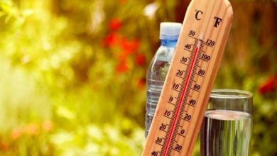 تاثیرات منفی افزایش دما بر انسان 7 | نقش نیوز تاثیرات منفی افزایش دما بر انسان