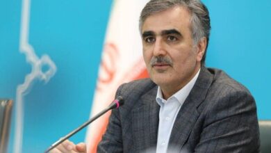 رئیسکل بانک مرکزی:دلار از مبادلات سیاحتی حذف میشود 5 | نقش نیوز ادامه پیشفروش سکه تا زمان داشتن تقاضا