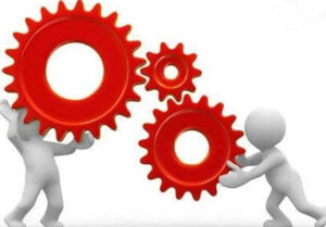 مدارک دانشگاهی ، تضمین کننده ی شغل نیست 2 | نقش نیوز 44 | نقش نیوز