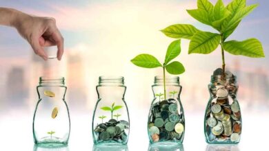 چالش های سرمایه گذاری در شرکت های دانش بنیان 3 | نقش نیوز چالش های سرمایه گذاری در شرکت های دانش بنیان