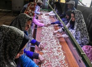 123 | نقش نیوز