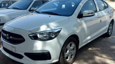 خرید و فروش شاهین با بهترین قیمت 5 | نقش نیوز خرید و فروش شاهین با بهترین قیمت