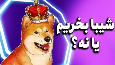 آنالیز و تحلیل فنی ارز شیبا و نظر کارشناسان درباره خرید شیبا اینو 7 | نقش نیوز آنالیز و تحلیل فنی ارز شیبا و نظر کارشناسان درباره خرید شیبا اینو