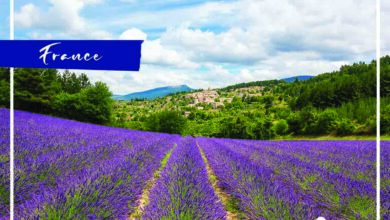 خرید تور فرانسه و دیدن جاذبه های شگفت انگیز این کشور 8 | نقش نیوز خرید تور فرانسه و دیدن جاذبه های شگفت انگیز این کشور