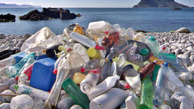 اثرات مخرب زیست محیطی‌  ظروف یکبار مصرف پلاستیکی!