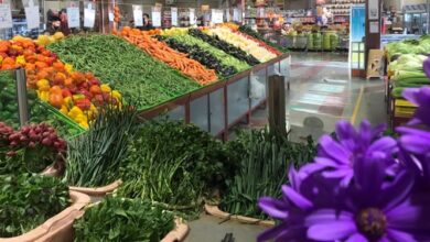 افتتاح ۴۰ بازار تره بار تا پایان سال جاری 5 | نقش نیوز  افتتاح ۴۰ بازار تره بار تا پایان سال جاری