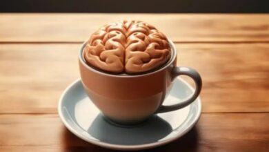 تاثیر قهوه و چای روی یادگیری مغز