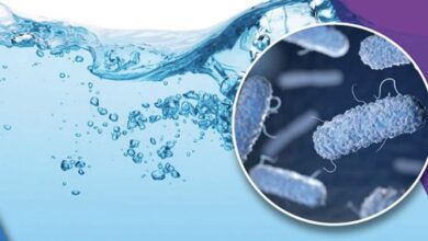 ضدعفونی آب ، کلید سلامتی 5 | نقش نیوز ضدعفونی آب ، کلید سلامتی