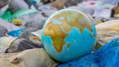 راهکارهای  مهم برای کاهش مصرف پلاستیکهای یکبار مصرف 7 | نقش نیوز راهکارهای  مهم برای کاهش مصرف پلاستیکهای یکبار مصرف