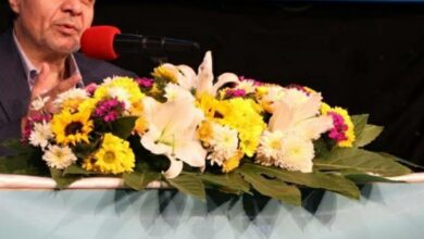 رشد ۲ برابر فروش بیمه دی نسبت به سال گذشته