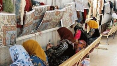 نگاهی به اشتغال روستایی در کشورهای توسعه یافته