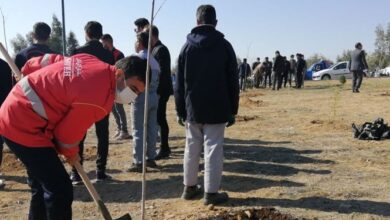 تدوین طرح کاشت یک میلیارد درخت 4 | نقش نیوز تدوین طرح کاشت یک میلیارد درخت