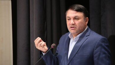 تاکید مدیرعامل بانک سپه بر پیاده سازی مدل‌های تاب آوری در نظام بانکی