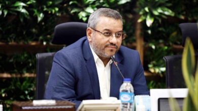 پایتخت به استقبال نوروز می رود 7 | نقش نیوز تشریح اقدامات طرح «استقبال از نوروز» در پایتخت