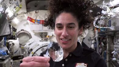 آببازی فضانورد ایرانی در ایستگاه فضایی بینالمللی 6 | نقش نیوز آببازی فضانورد ایرانی در ایستگاه فضایی بینالمللی