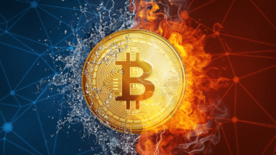 بیت کوین در گذر زمان؛ مقایسه قیمت سالهای مختلف 4 | نقش نیوز قوانین جدید در حوزه رمزارزهای دیجیتال