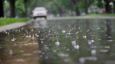 کاهش دما در نیمه شمالی