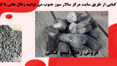 زغال کبابی و فواید آن 5 | نقش نیوز زغال کبابی و فواید آن